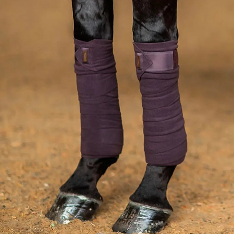 Equestrian Stockholm - Bandes de polo Moonless Night marron/ violet (x4)